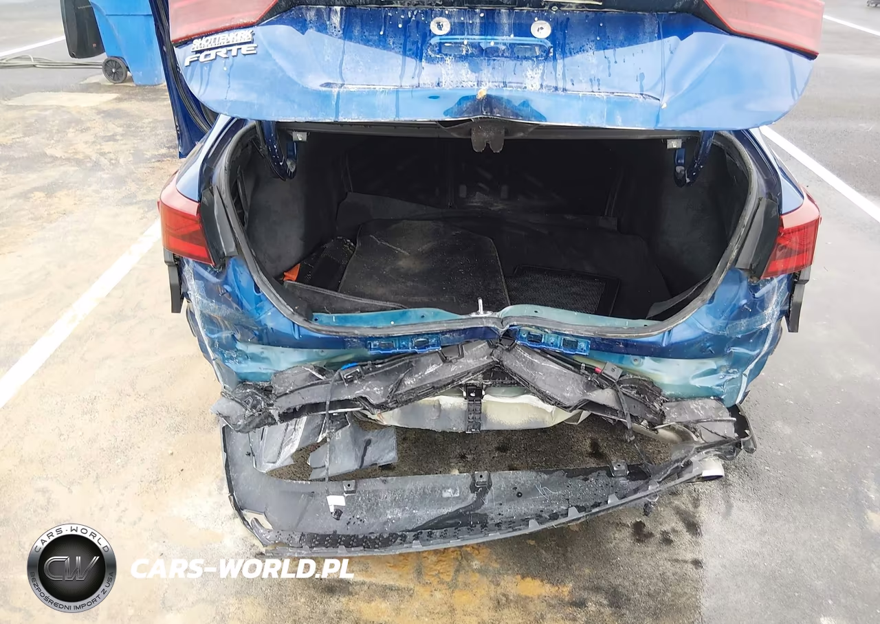 2019 Kia Forte Lxs VIN:3KPF24ADXKE092161 - 6