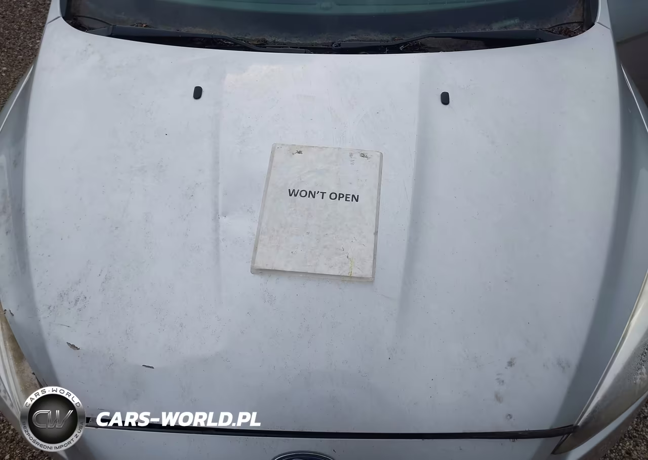 2017 Ford Focus Se VIN:1FADP3F2XHL327724 - 10