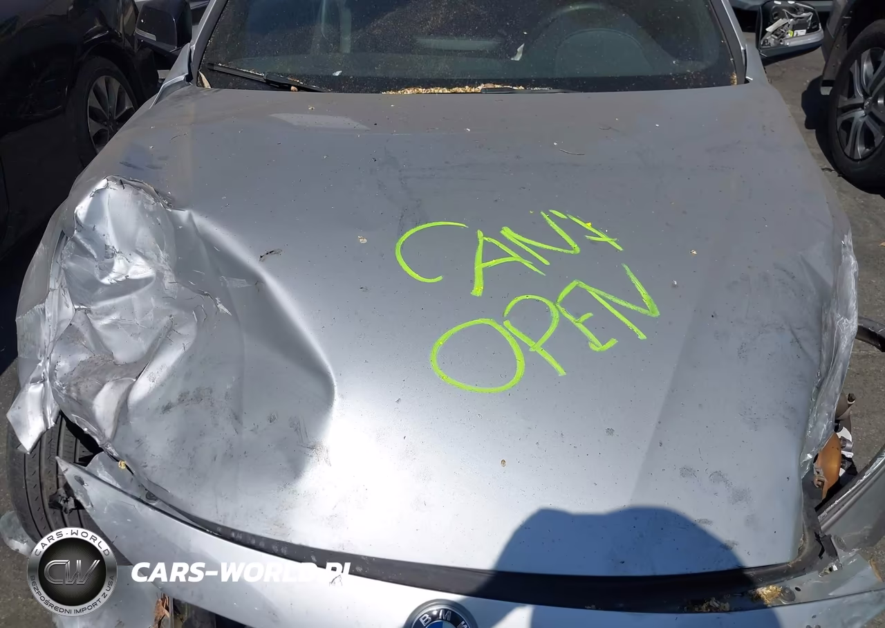 2015 BMW 435I VIN:WBA3R1C55FK193725 - 10