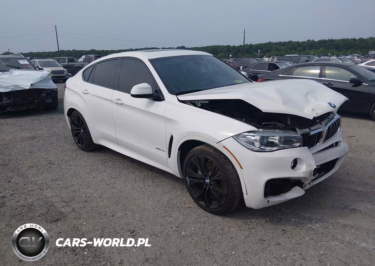 2019 BMW X6 xDrive50I