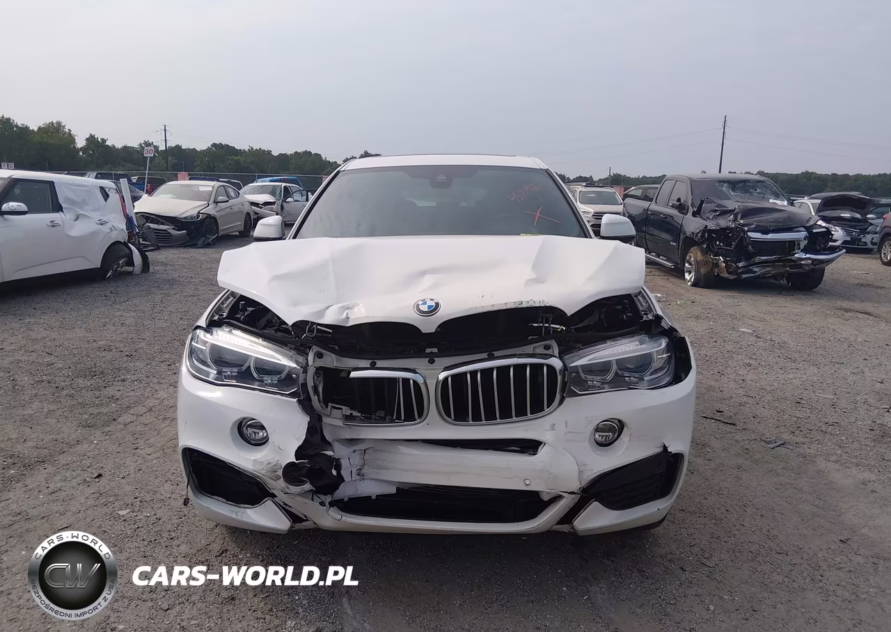 2019 BMW X6 xDrive50I VIN:5UXKU6C54K0Z67011 - 12