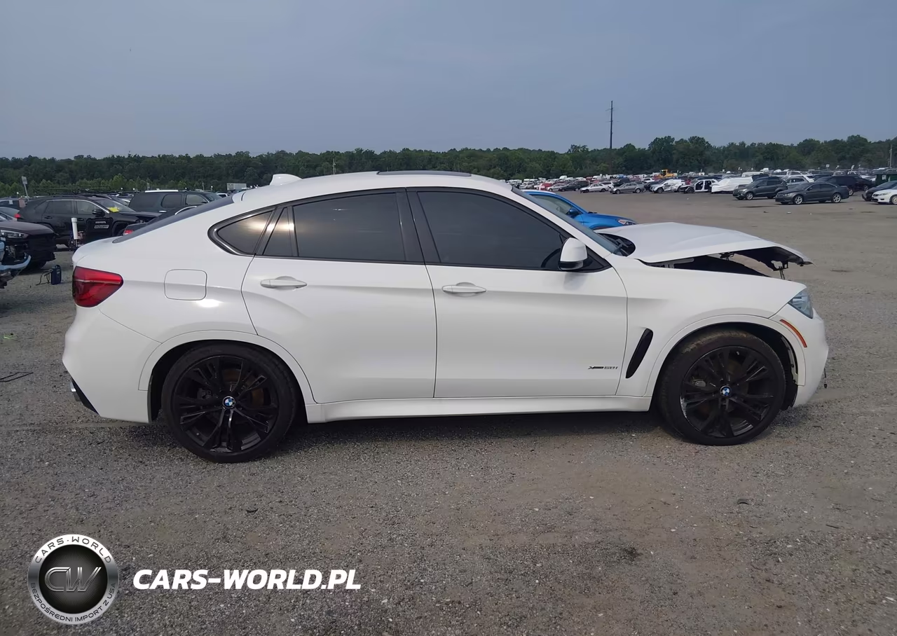 2019 BMW X6 xDrive50I VIN:5UXKU6C54K0Z67011 - 13