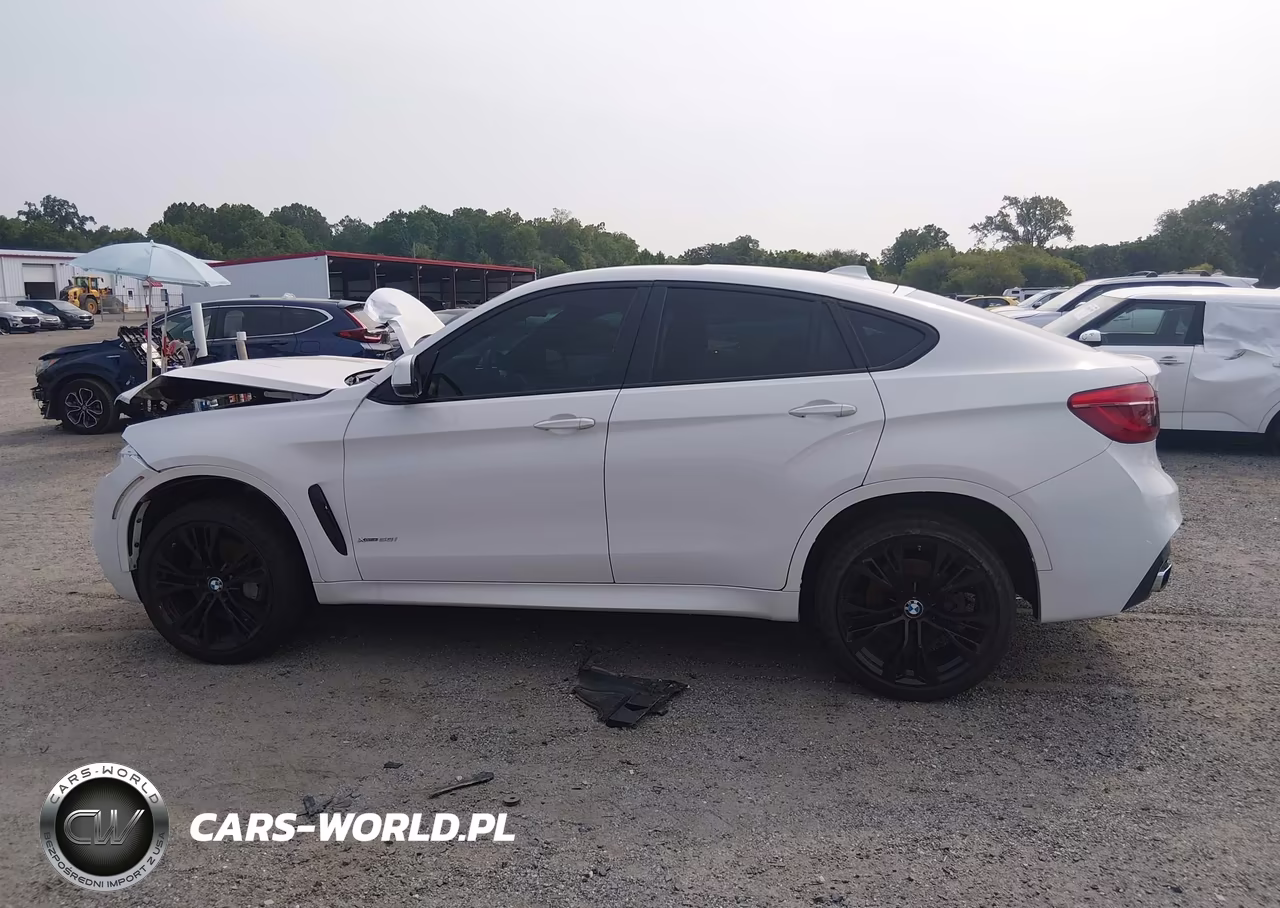 2019 BMW X6 xDrive50I VIN:5UXKU6C54K0Z67011 - 14