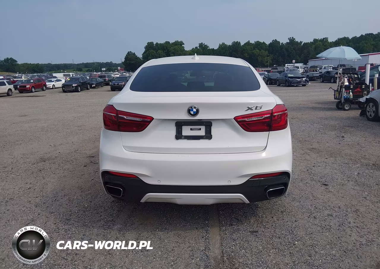 2019 BMW X6 xDrive50I VIN:5UXKU6C54K0Z67011 - 16