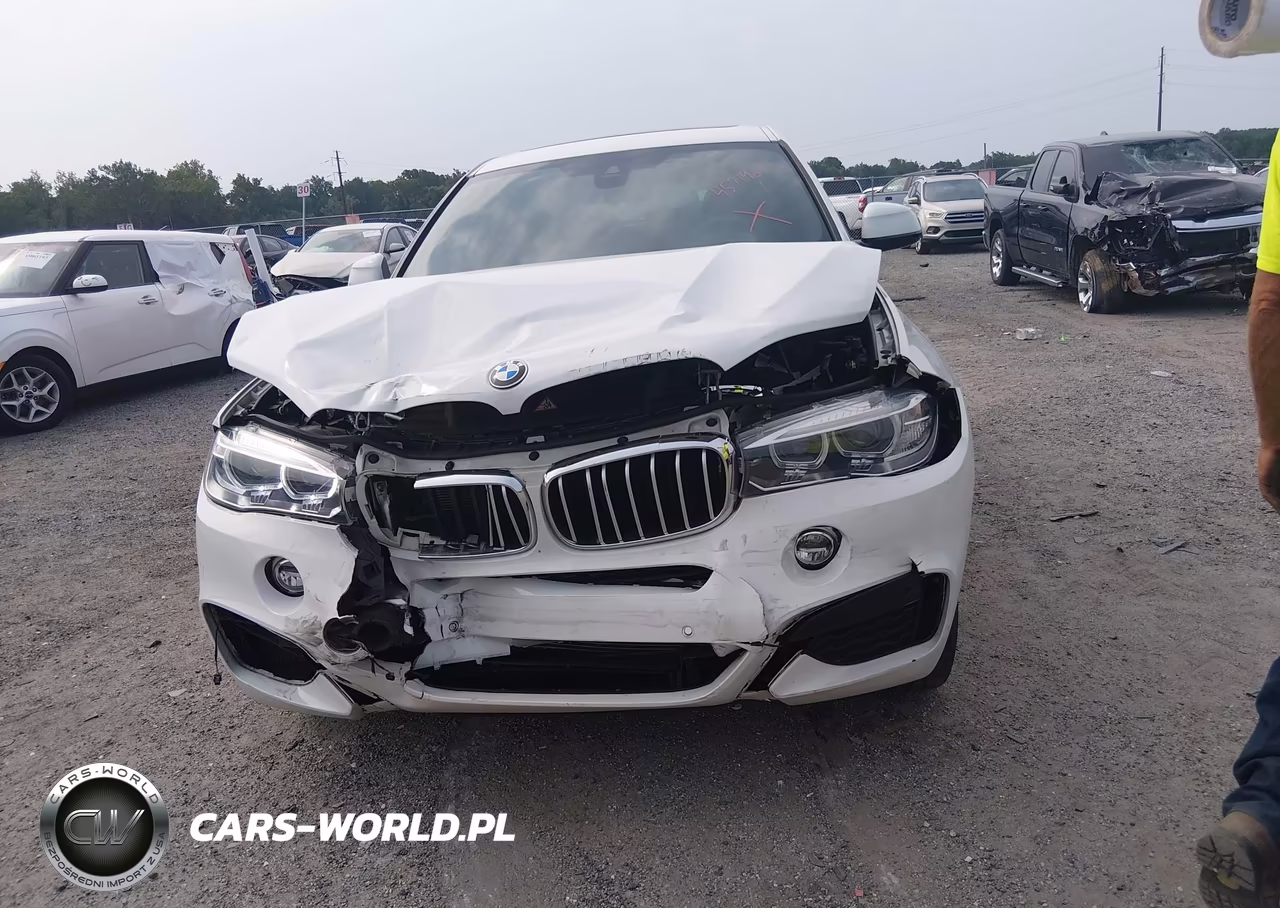 2019 BMW X6 xDrive50I VIN:5UXKU6C54K0Z67011 - 17