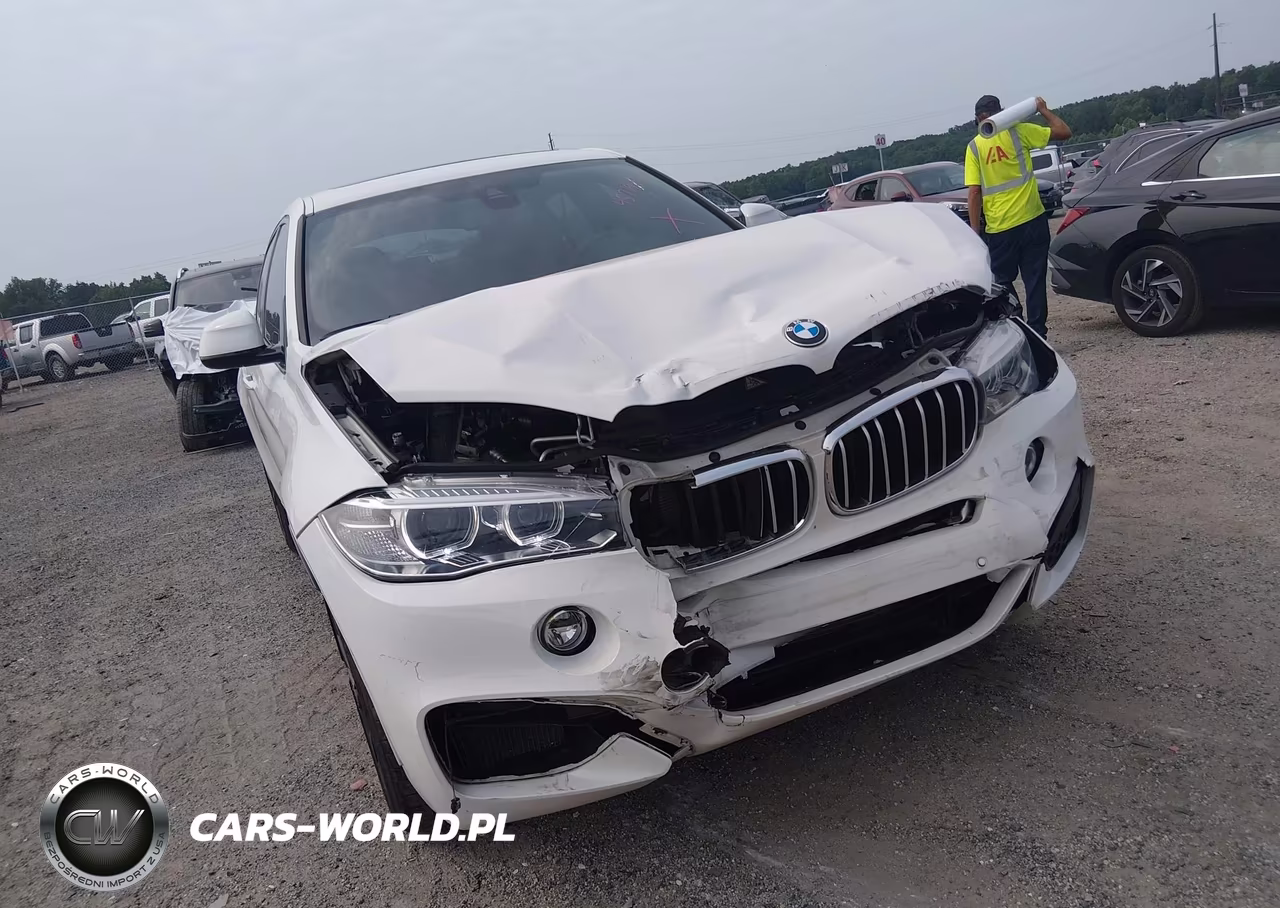 2019 BMW X6 xDrive50I VIN:5UXKU6C54K0Z67011 - 18