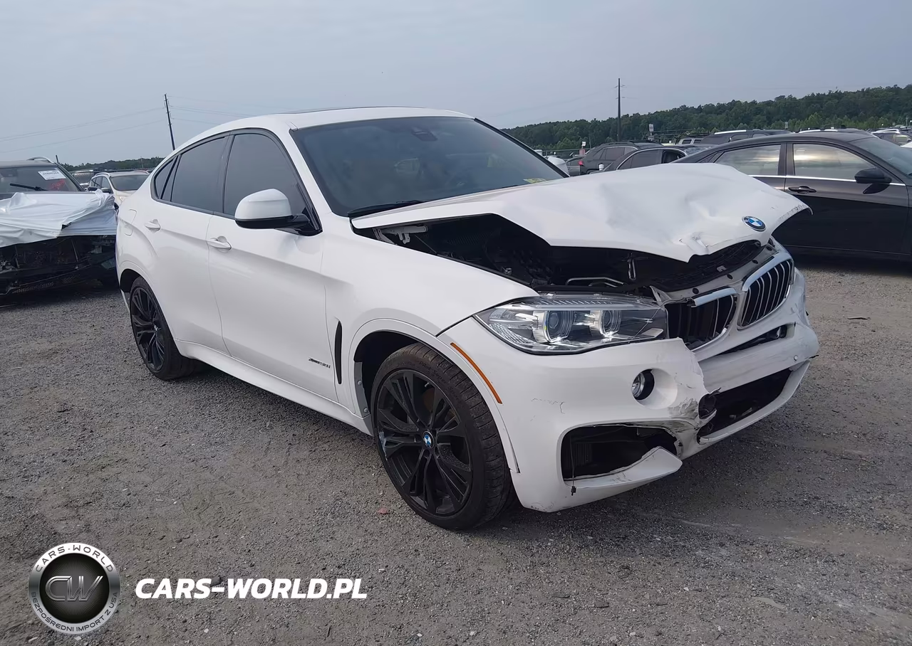 2019 BMW X6 xDrive50I VIN:5UXKU6C54K0Z67011 - 19