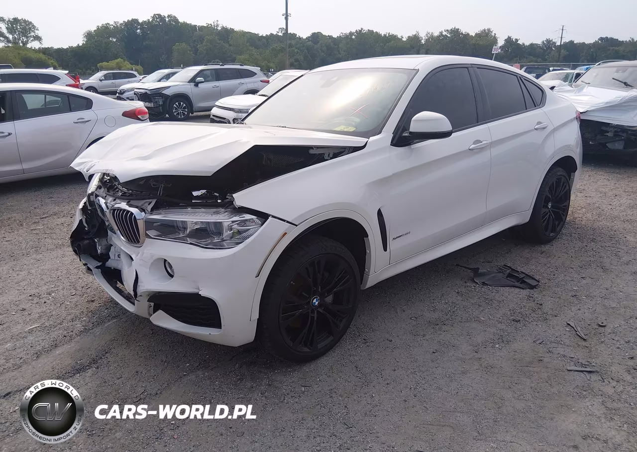 2019 BMW X6 xDrive50I VIN:5UXKU6C54K0Z67011 - 2