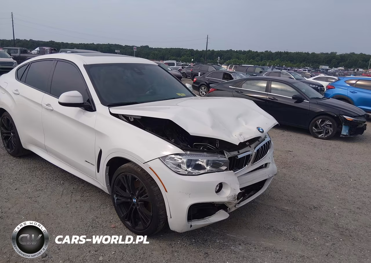 2019 BMW X6 xDrive50I VIN:5UXKU6C54K0Z67011 - 20