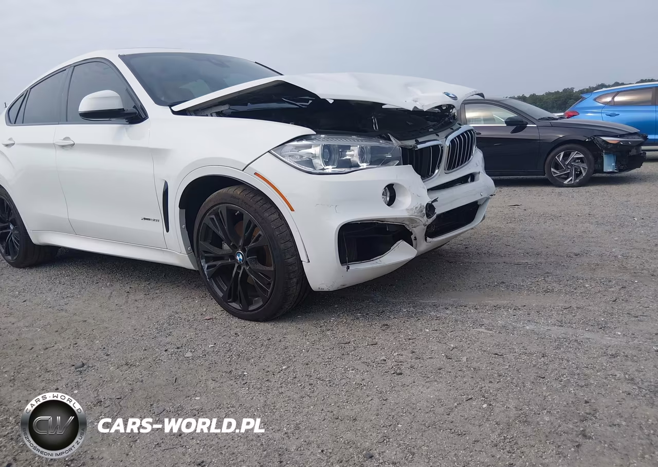 2019 BMW X6 xDrive50I VIN:5UXKU6C54K0Z67011 - 21