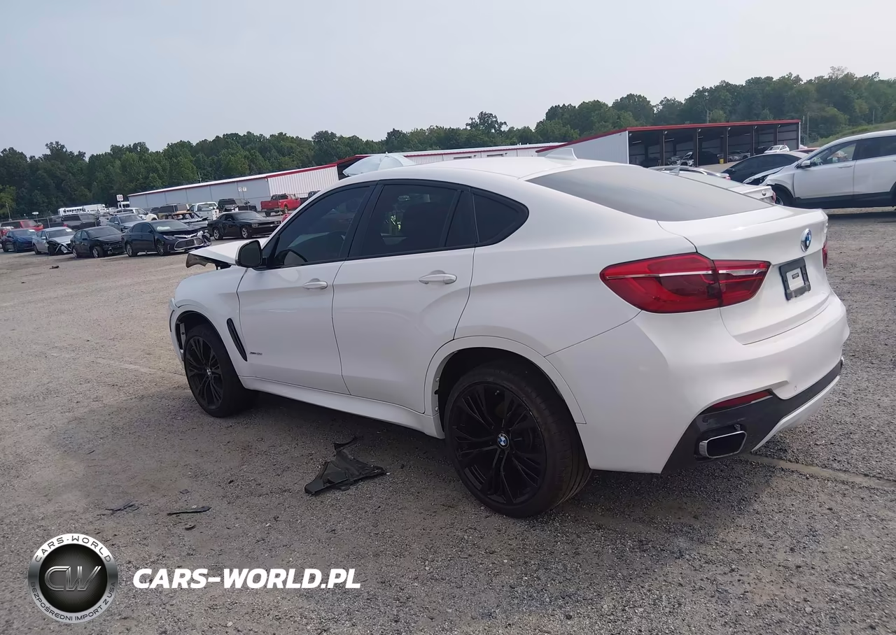 2019 BMW X6 xDrive50I VIN:5UXKU6C54K0Z67011 - 3