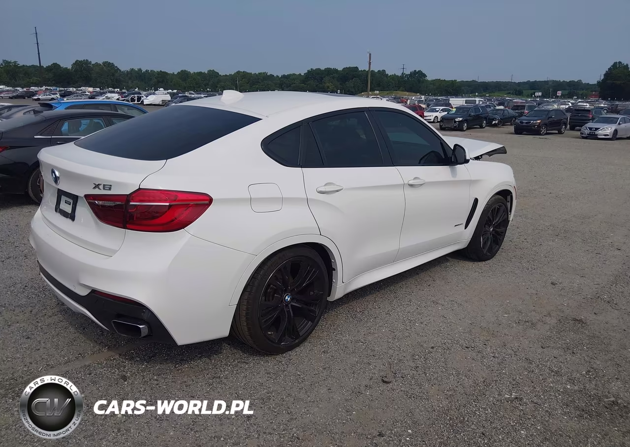 2019 BMW X6 xDrive50I VIN:5UXKU6C54K0Z67011 - 4