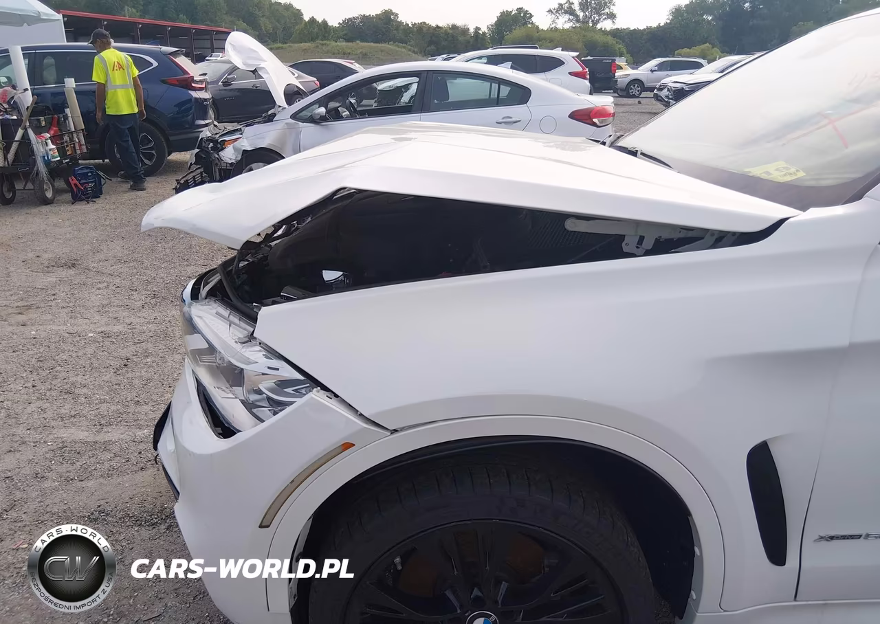 2019 BMW X6 xDrive50I VIN:5UXKU6C54K0Z67011 - 6