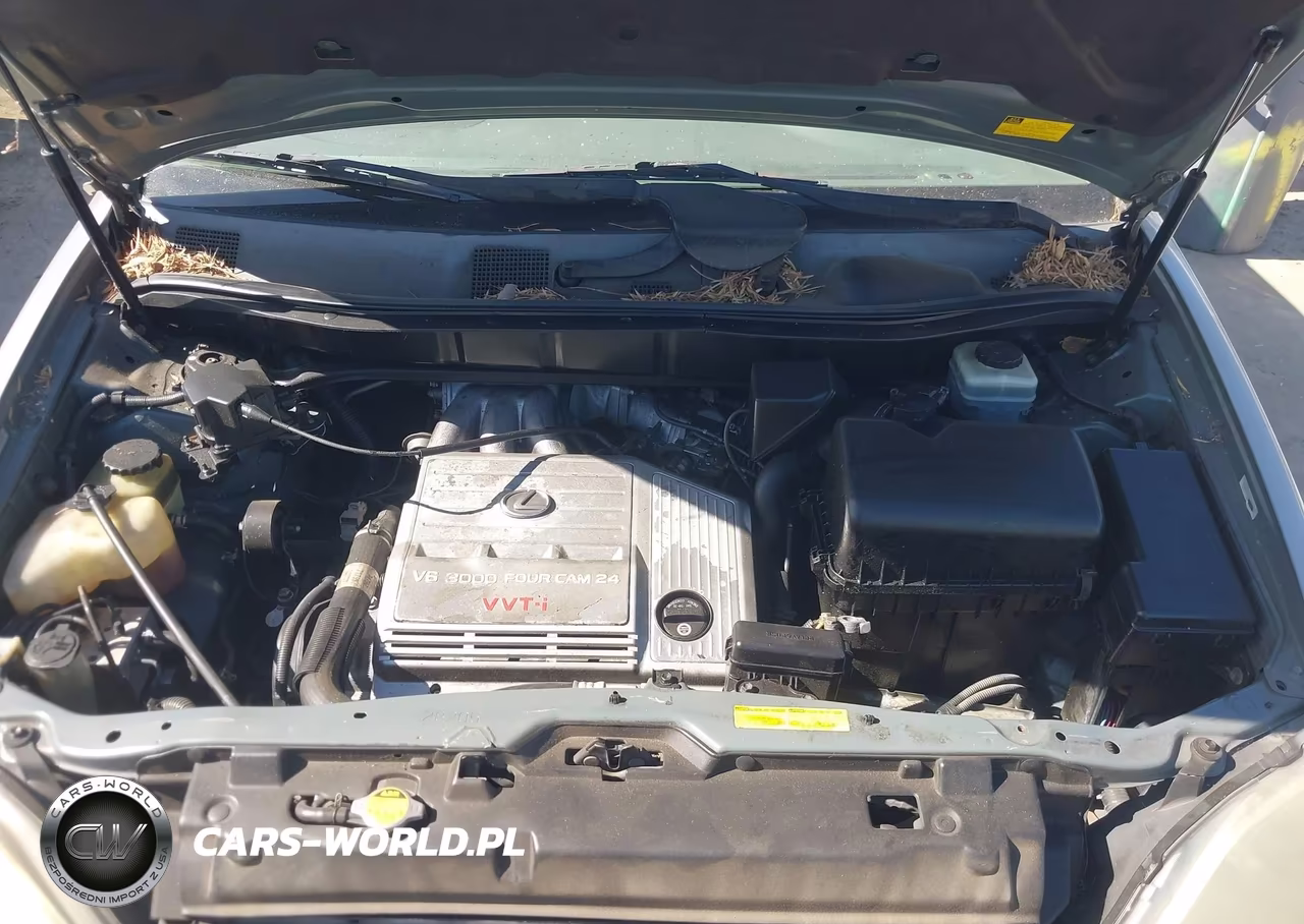 2001 Lexus Rx 300 VIN:JTJGF10U910088812 - 10