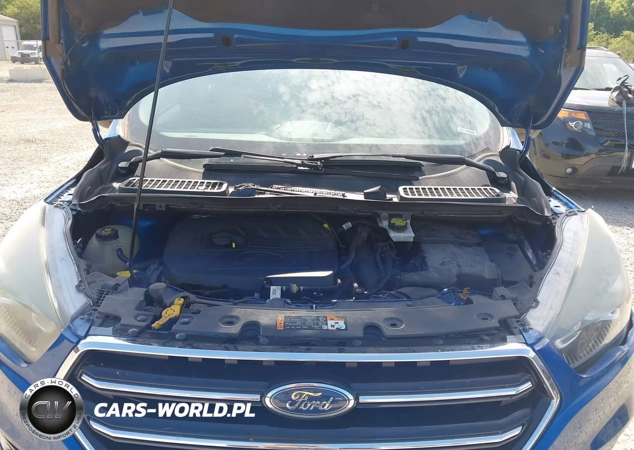 2017 Ford Escape Se VIN:1FMCU0GDXHUC63221 - 10