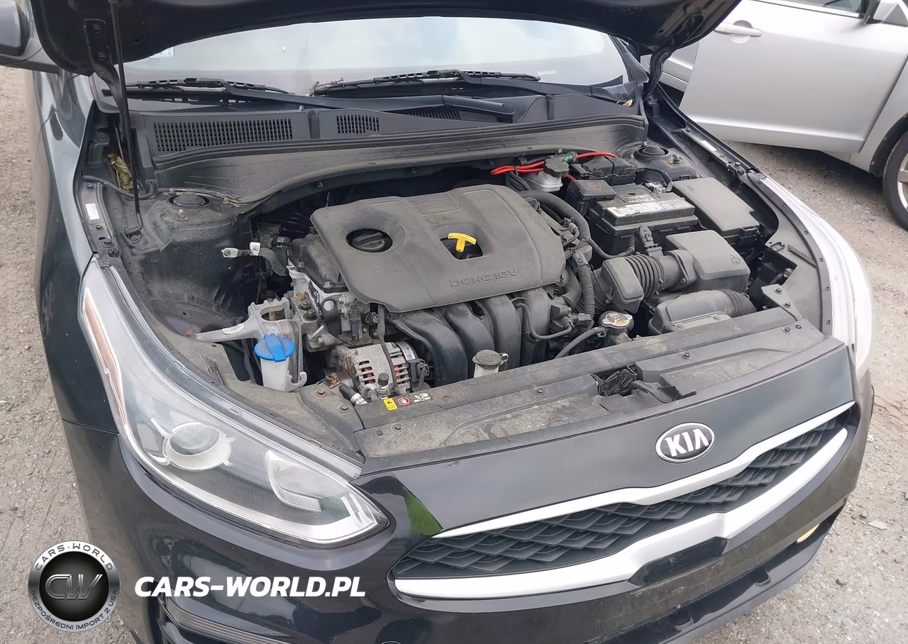 2019 Kia Forte Lxs VIN:3KPF24ADXKE008047 - 10