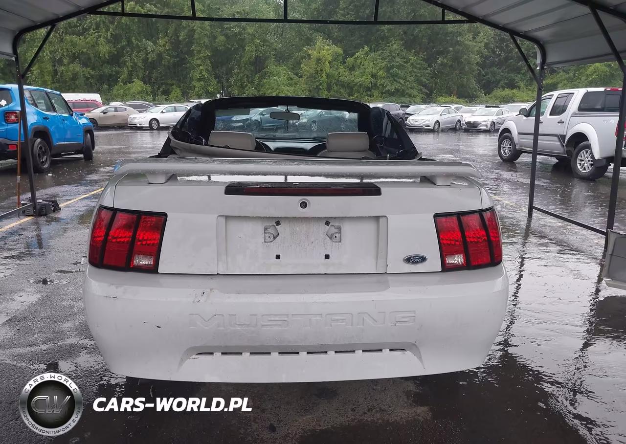 2002 Ford Mustang Deluxe-Premium VIN:1FAFP44412F201440 - 17