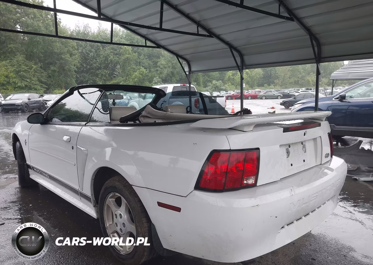 2002 Ford Mustang Deluxe-Premium VIN:1FAFP44412F201440 - 3