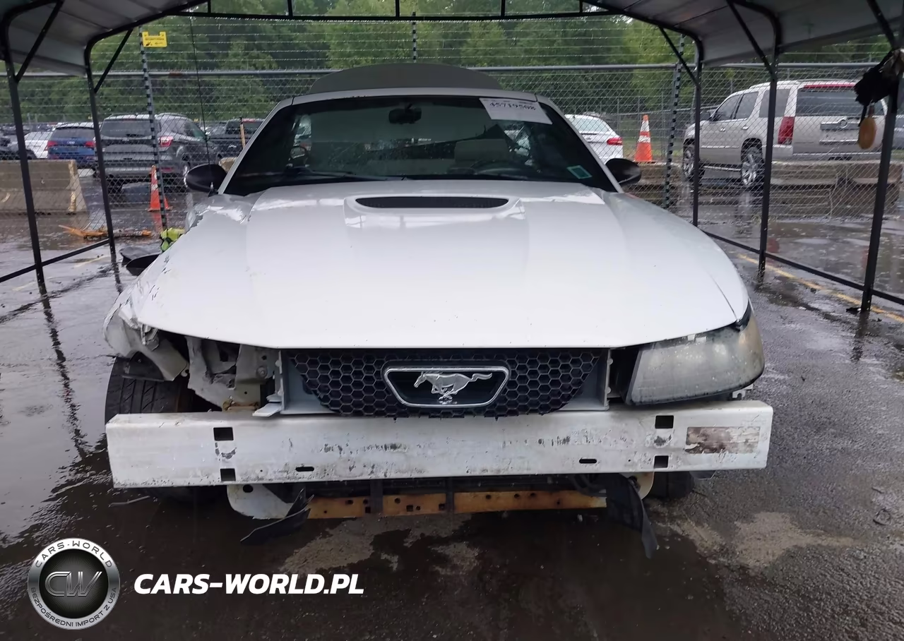 2002 Ford Mustang Deluxe-Premium VIN:1FAFP44412F201440 - 6