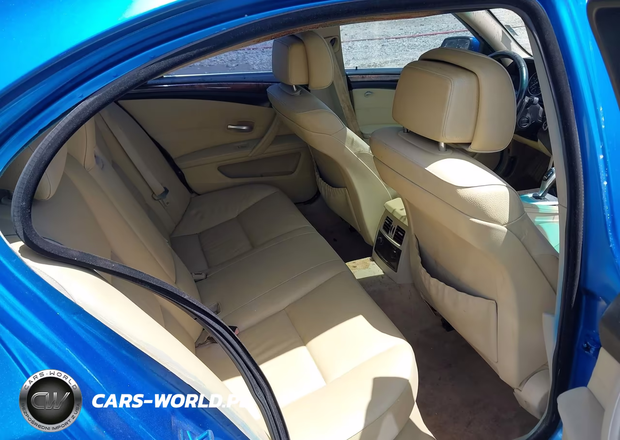 2010 BMW 528I VIN:WBANU5C51AC365833 - 8