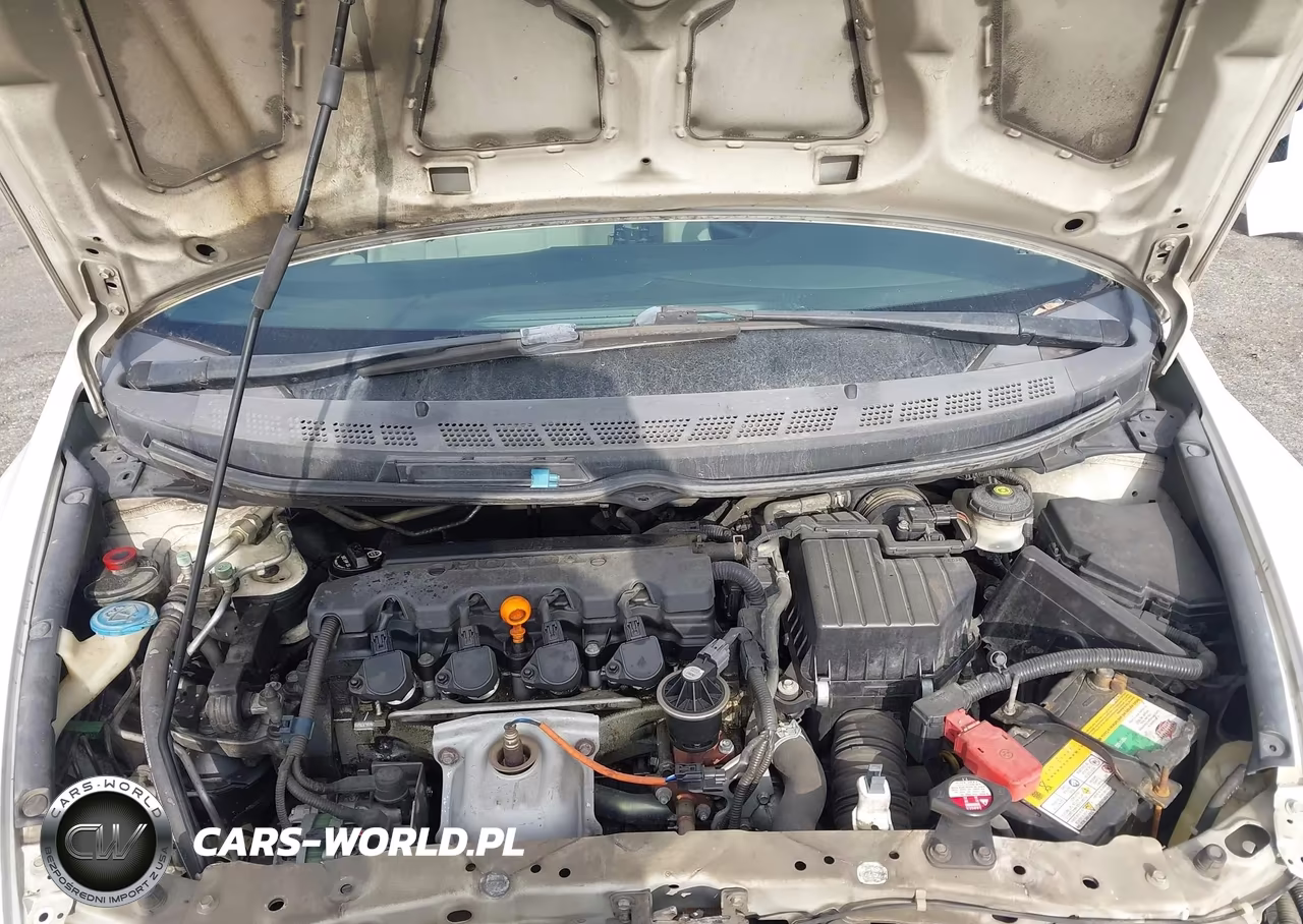 2009 Honda Civic Lx VIN:19XFA165X9E043877 - 10