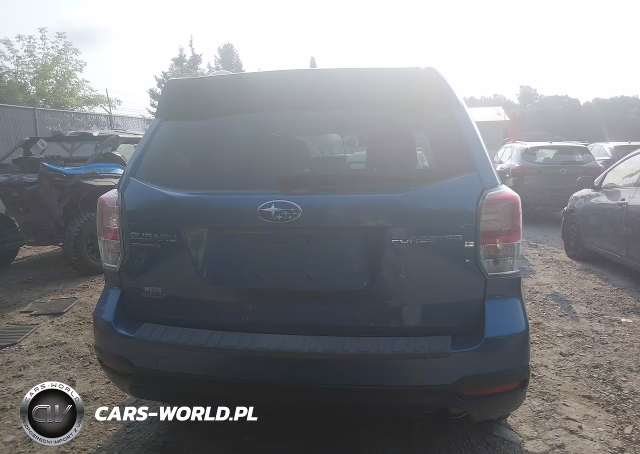 2018 Subaru Forester 2.5I Premium VIN:JF2SJAEC0JH402443 - 16