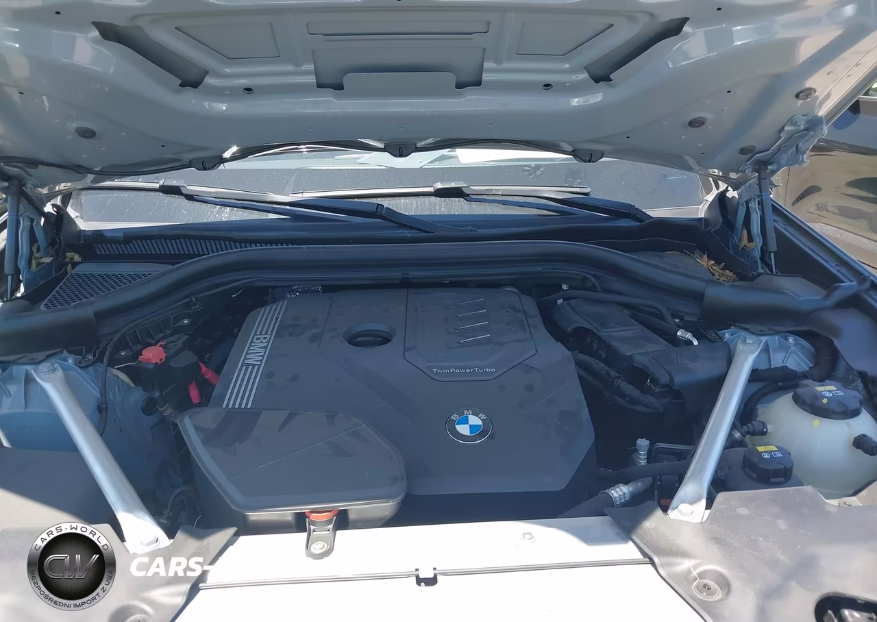2022 BMW X3 Sdrive30I VIN:5UX43DP01N9L93174 - 10