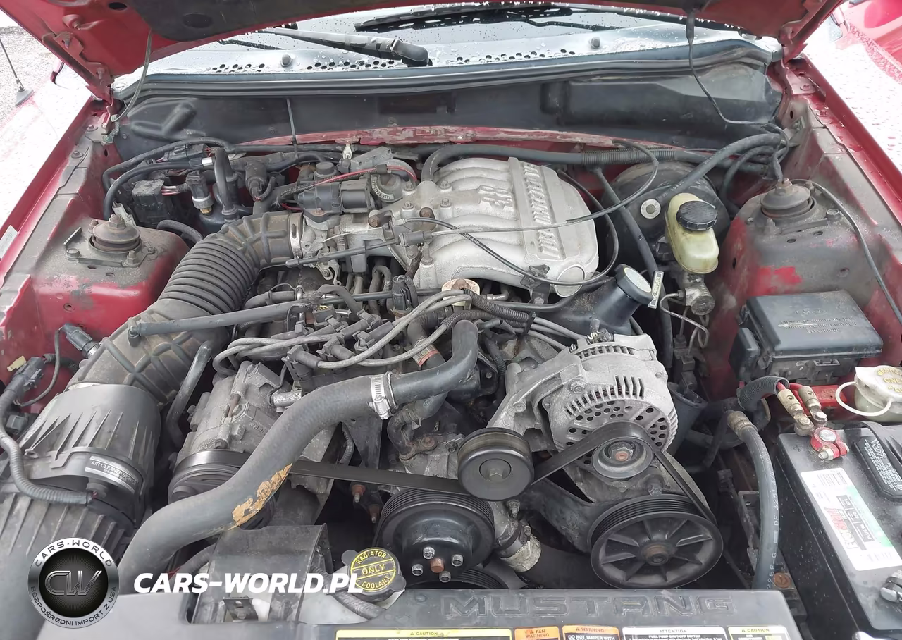 1995 Ford Mustang VIN:1FALP444XSF240062 - 10