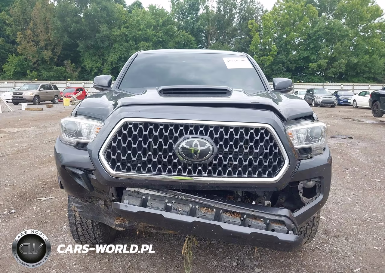 2019 Toyota Tacoma Trd Sport VIN:3TMCZ5AN7KM279859 - 12