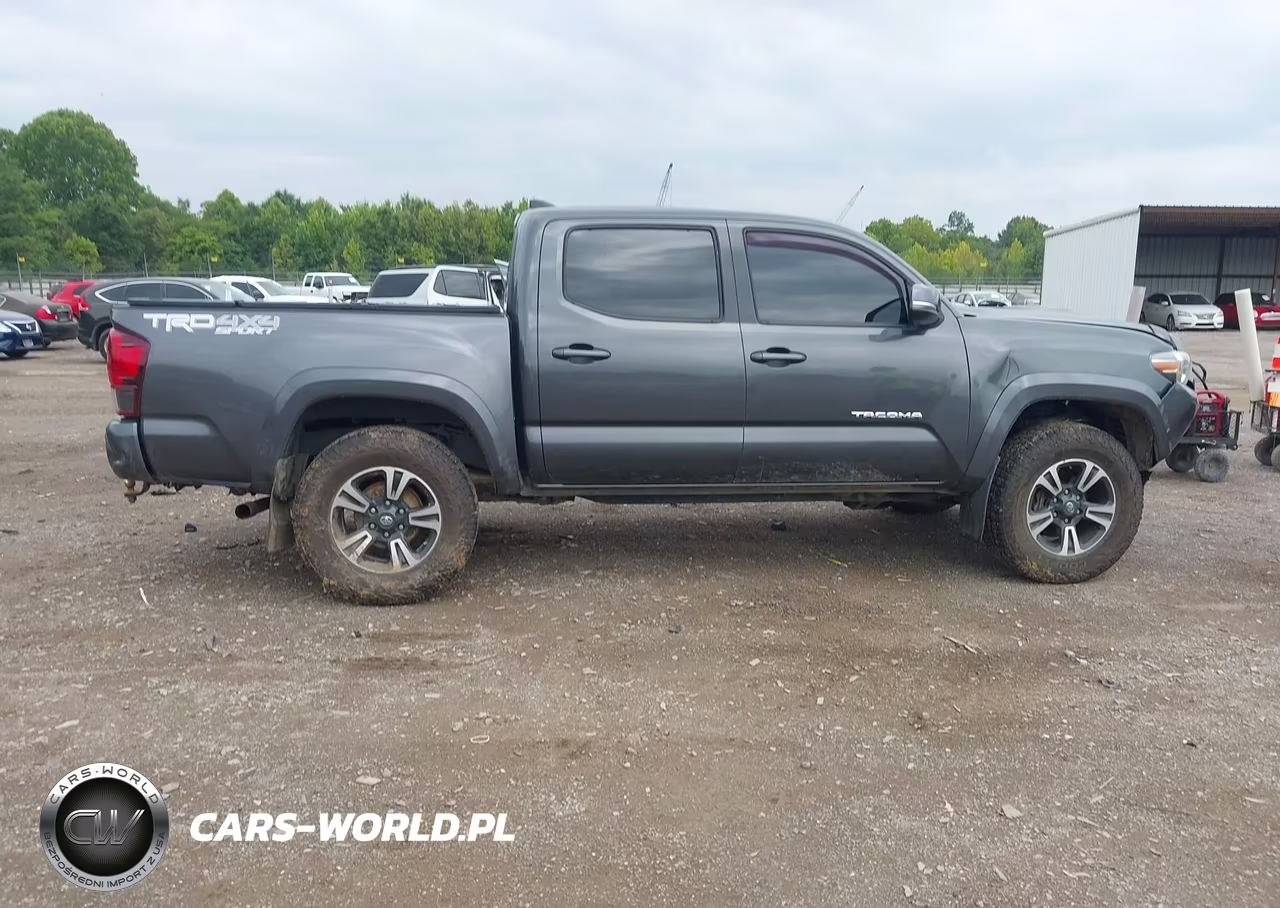 2019 Toyota Tacoma Trd Sport VIN:3TMCZ5AN7KM279859 - 13
