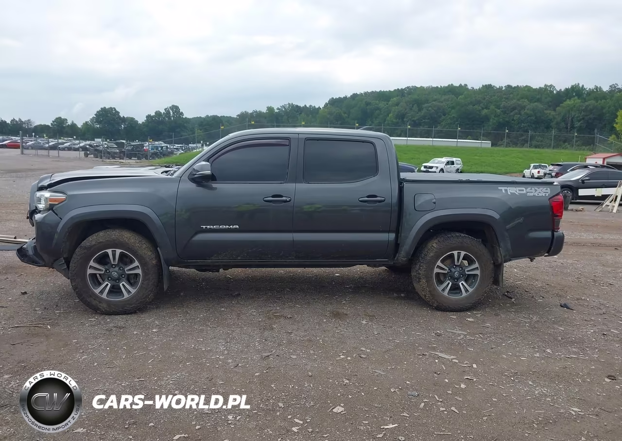 2019 Toyota Tacoma Trd Sport VIN:3TMCZ5AN7KM279859 - 14