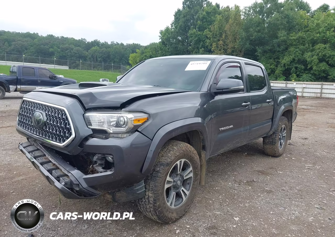 2019 Toyota Tacoma Trd Sport VIN:3TMCZ5AN7KM279859 - 2