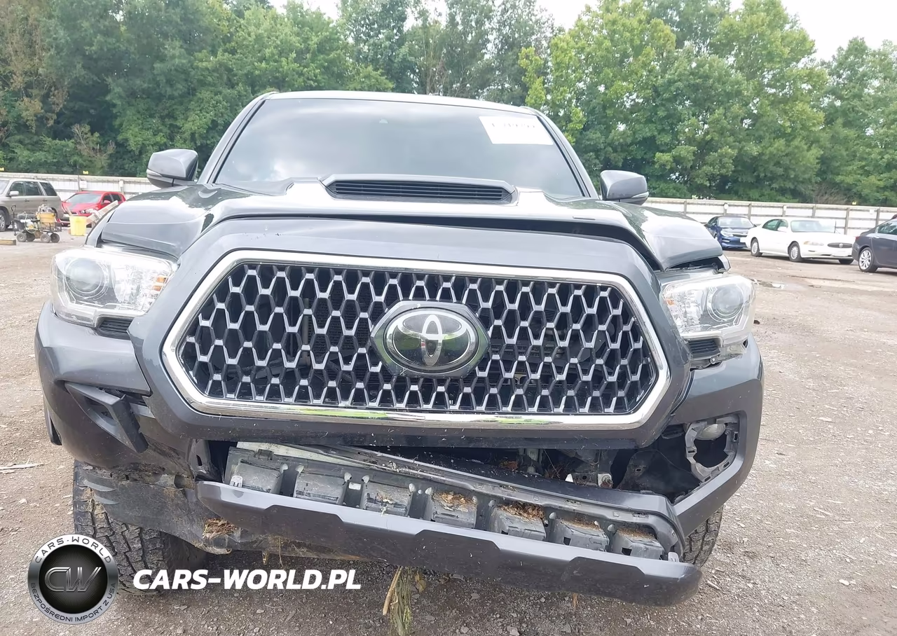 2019 Toyota Tacoma Trd Sport VIN:3TMCZ5AN7KM279859 - 6