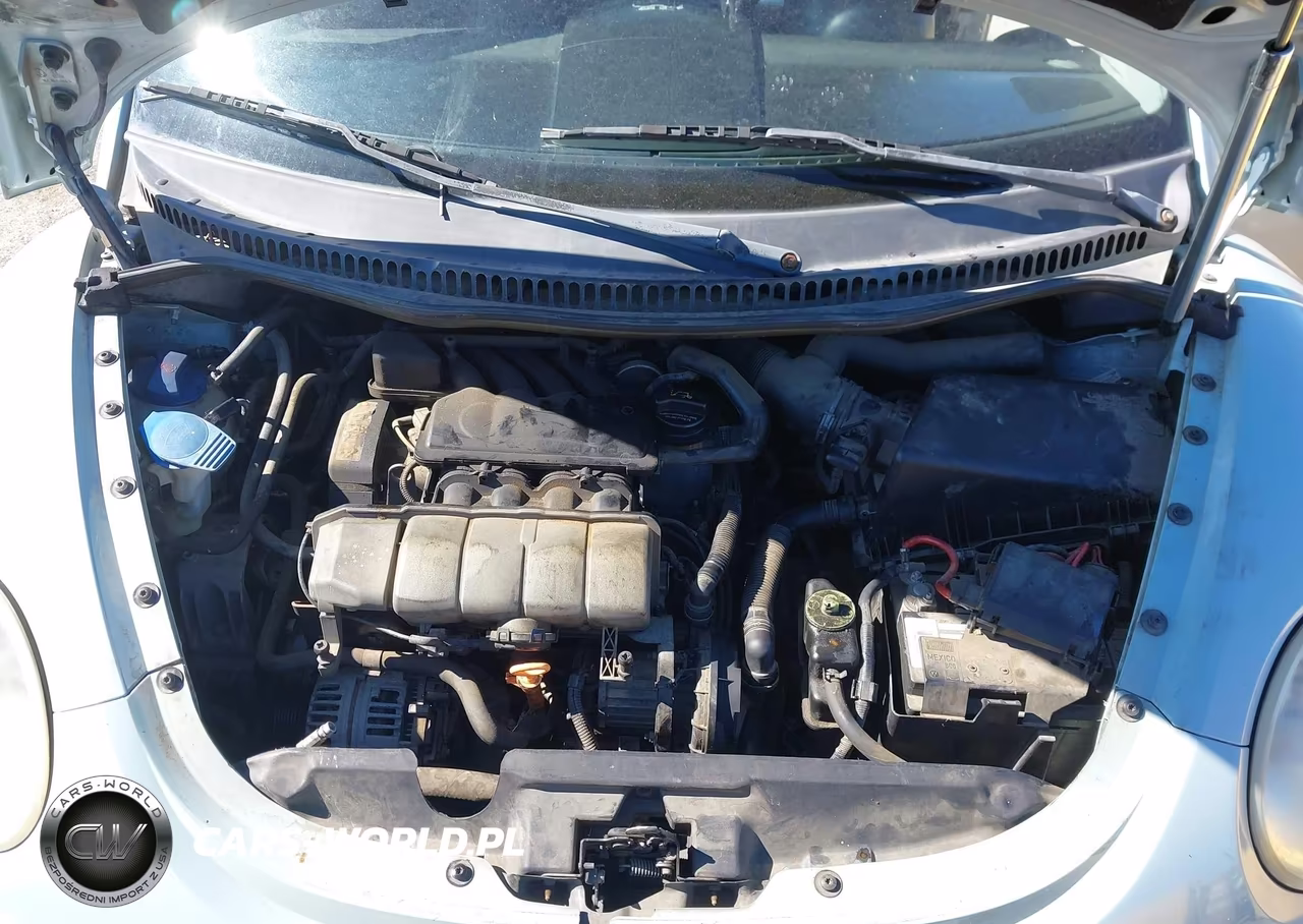 2004 Volkswagen New Beetle Gls VIN:3VWCM21Y24M301399 - 10