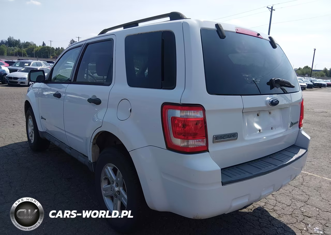 2009 Ford Escape Hybrid Limited VIN:1FMCU49319KB39685 - 3