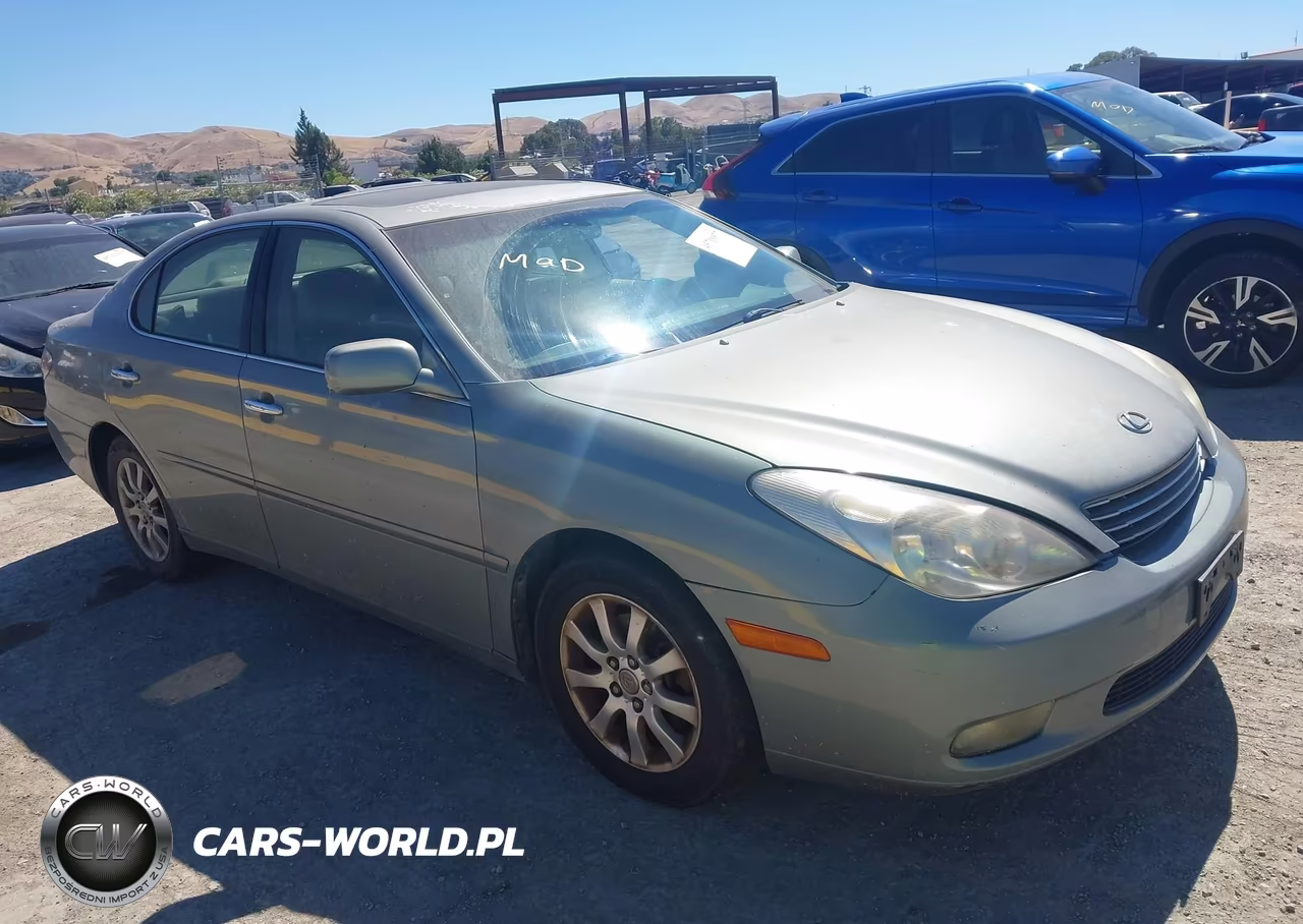 2004 Lexus Es 330 VIN:JTHBA30G245039233 - 1