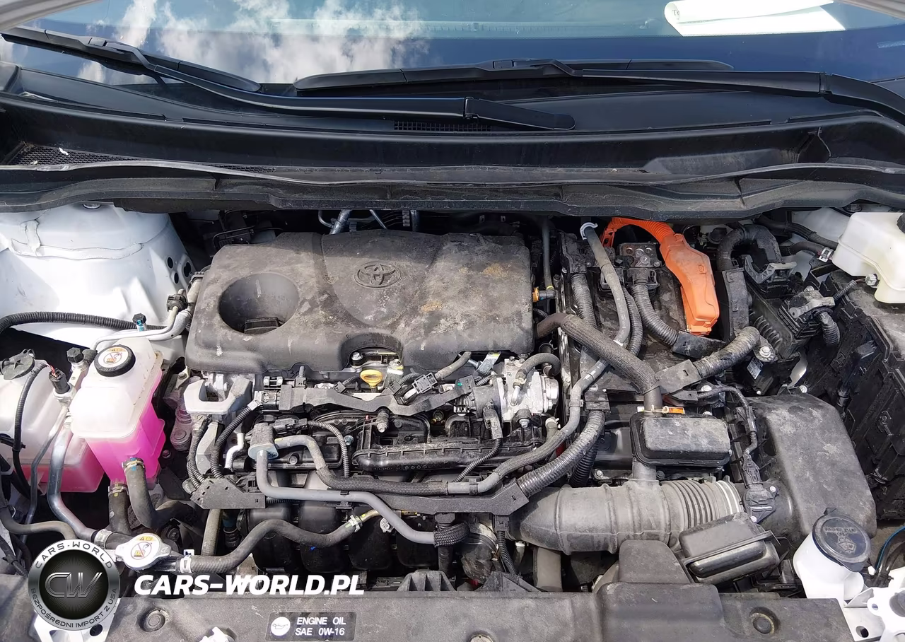 2024 Toyota Sienna Le VIN:5TDKSKFC4RS154236 - 10