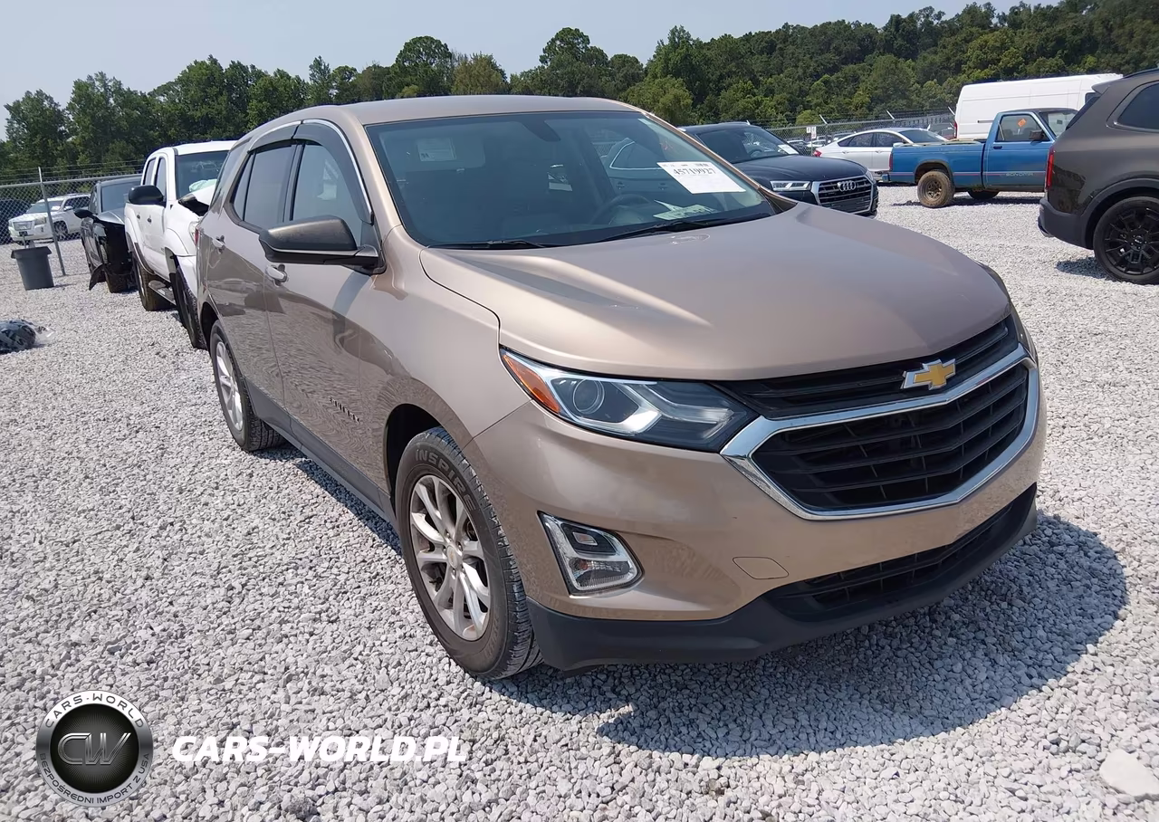 2019 Chevrolet Equinox Ls – zdjęcie 1 z 16