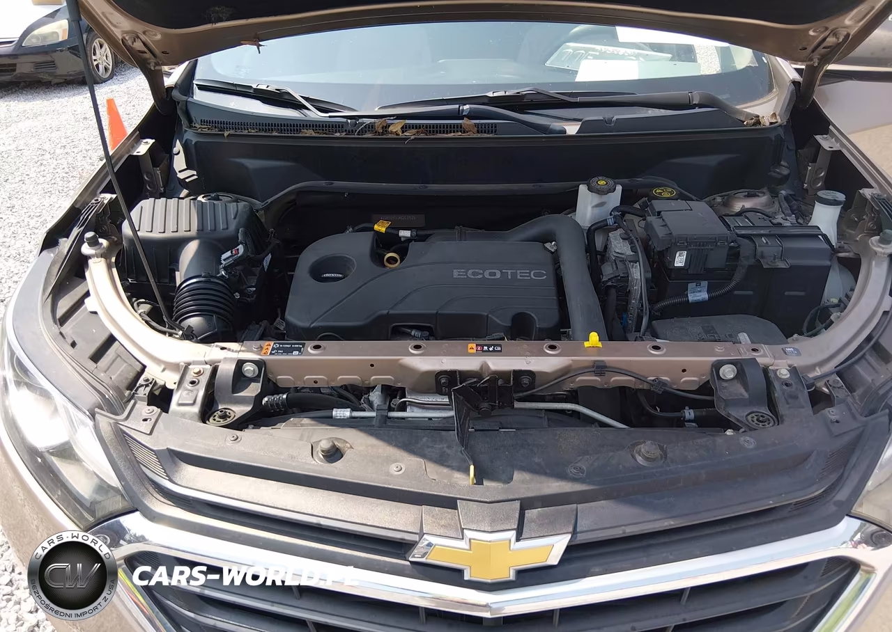 2019 Chevrolet Equinox Ls VIN:2GNAXHEV1K6287952 - 10