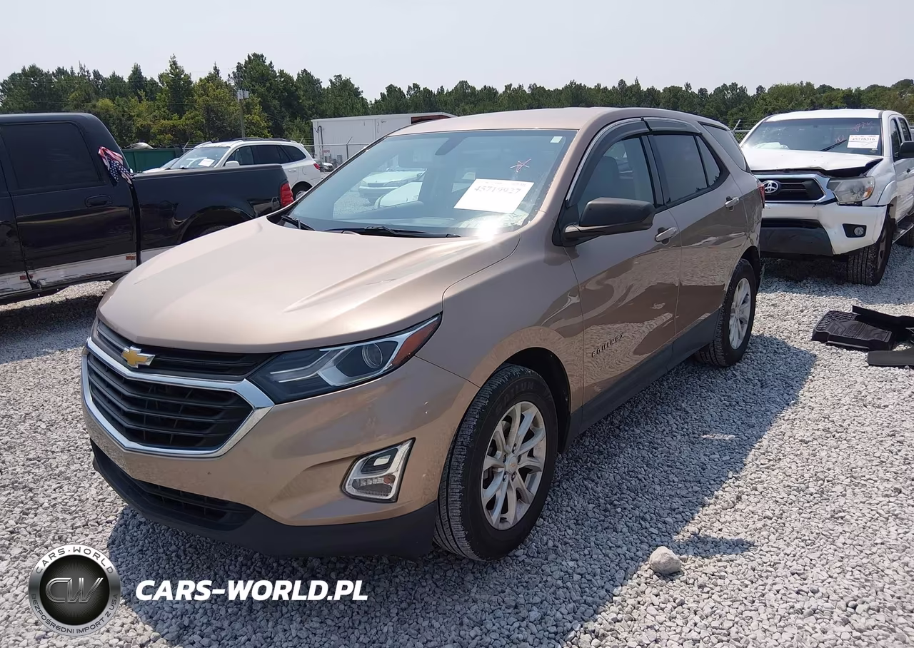 2019 Chevrolet Equinox Ls VIN:2GNAXHEV1K6287952 - 2