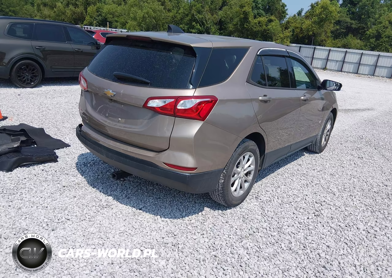 2019 Chevrolet Equinox Ls VIN:2GNAXHEV1K6287952 - 4