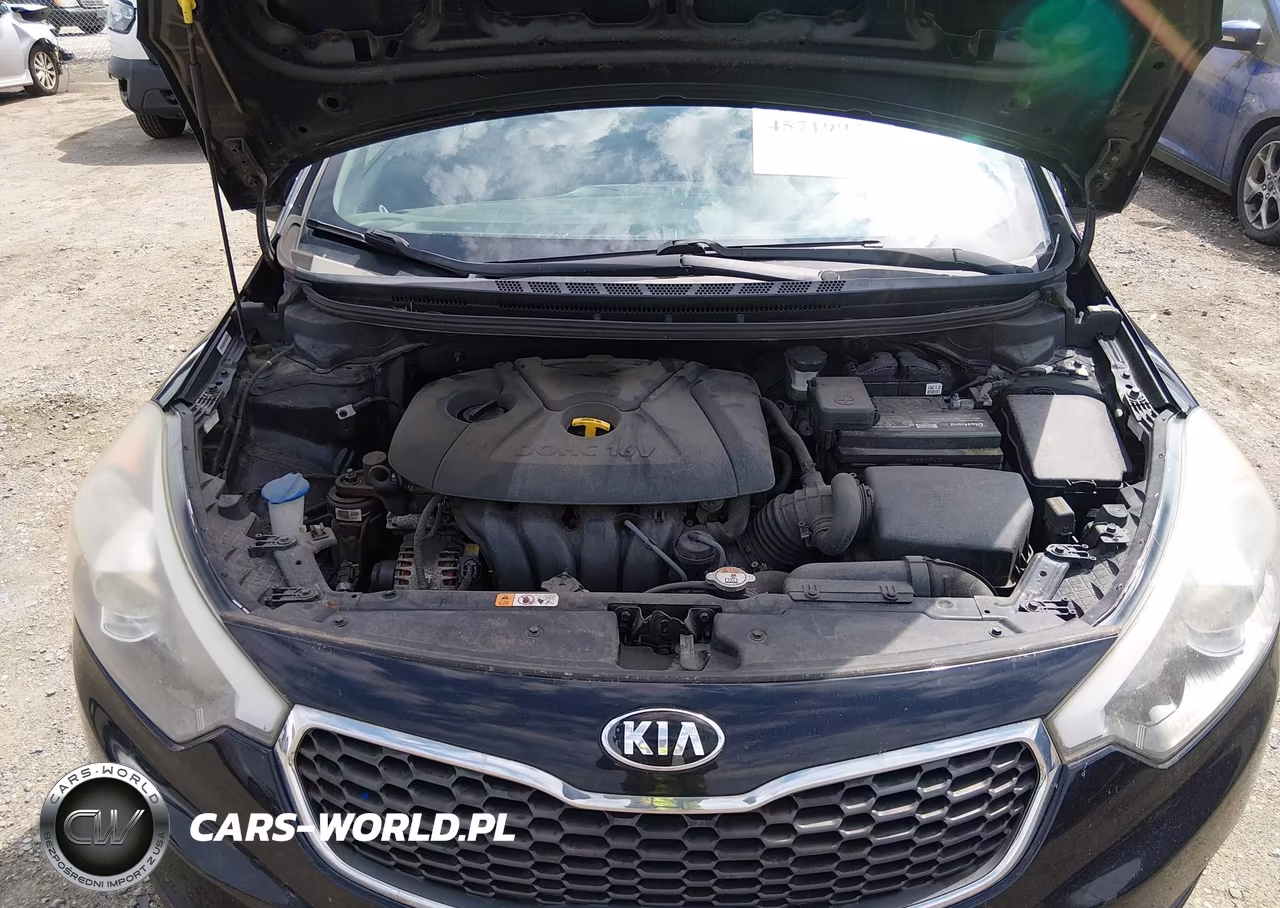 2015 Kia Forte Lx VIN:KNAFK4A64F5320557 - 10