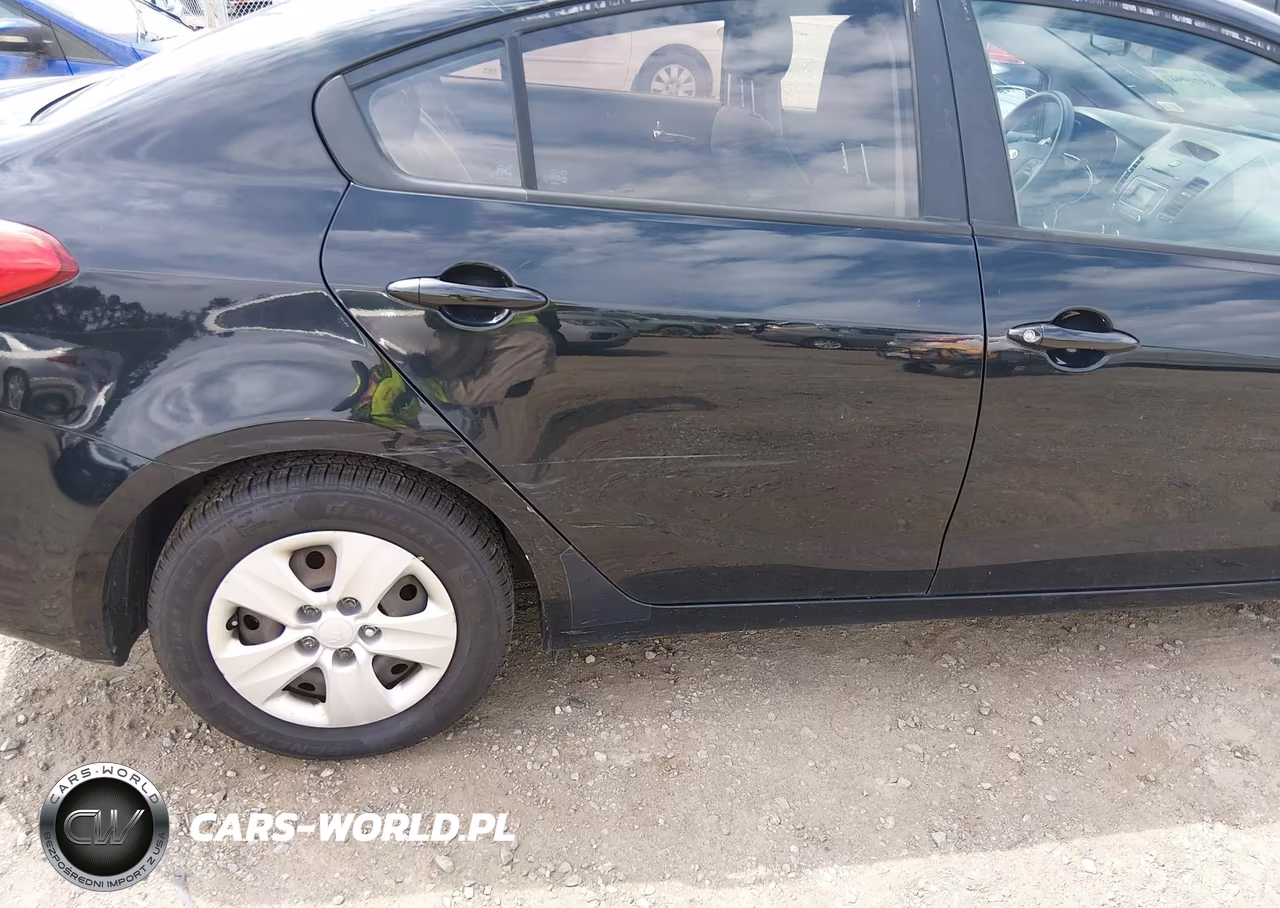 2015 Kia Forte Lx VIN:KNAFK4A64F5320557 - 6