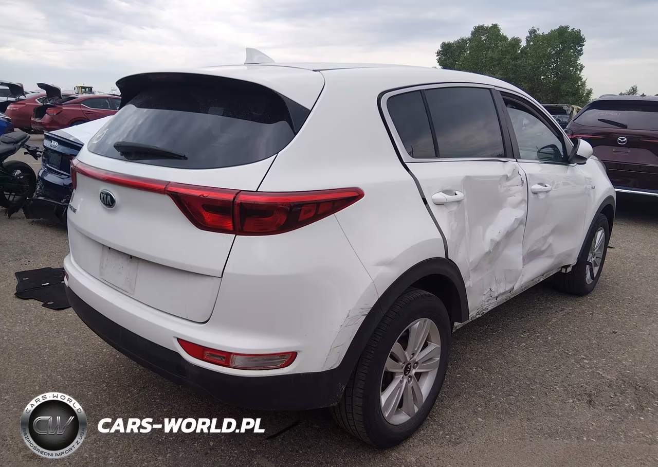 2017 Kia Sportage Lx VIN:KNDPMCAC5H7139492 - 4
