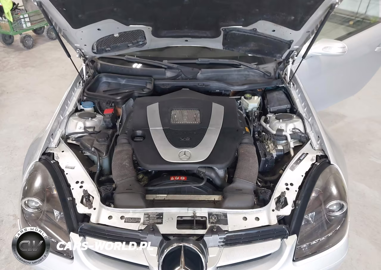 2005 Mercedes-Benz Slk 350 VIN:WDBWK56F35F023191 - 10