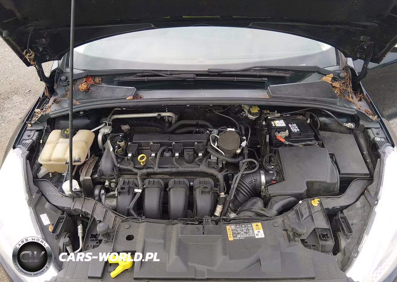 2016 Ford Focus Se VIN:1FADP3F28GL224848 - 10