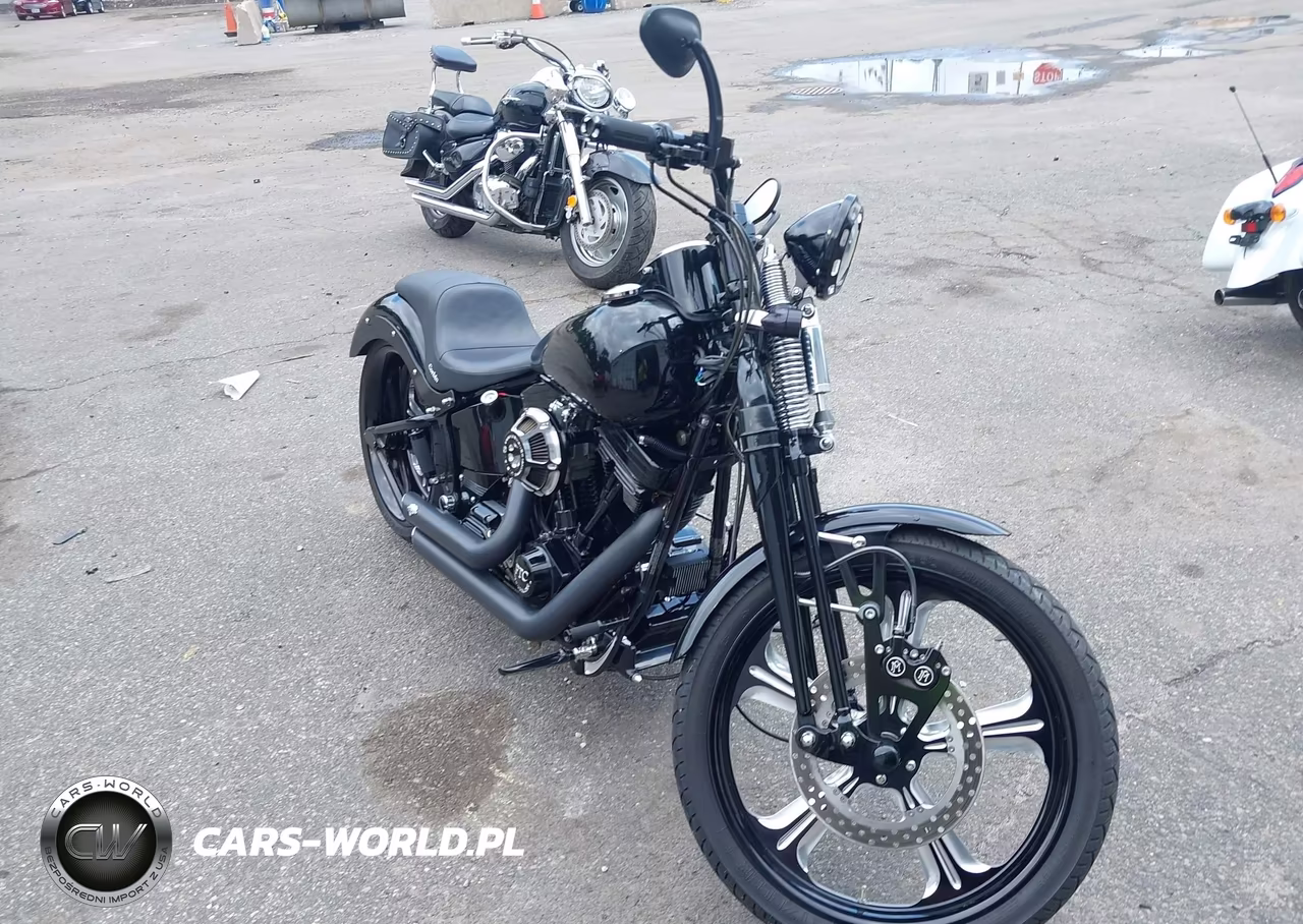 1995 Harley-Davidson Fxstsb – zdjęcie 1 z 13