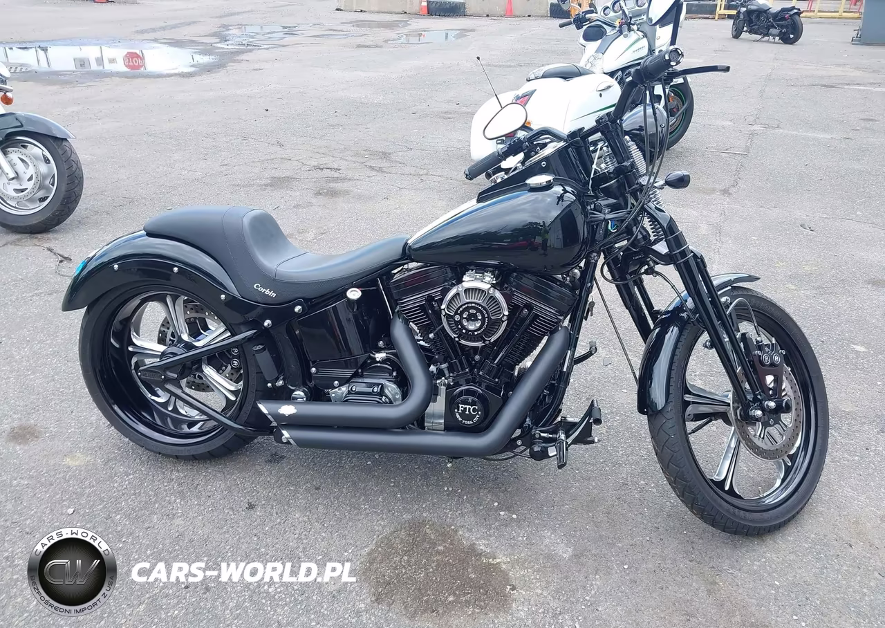 1995 Harley-Davidson Fxstsb VIN:1HD1BPL11SY026315 - 12