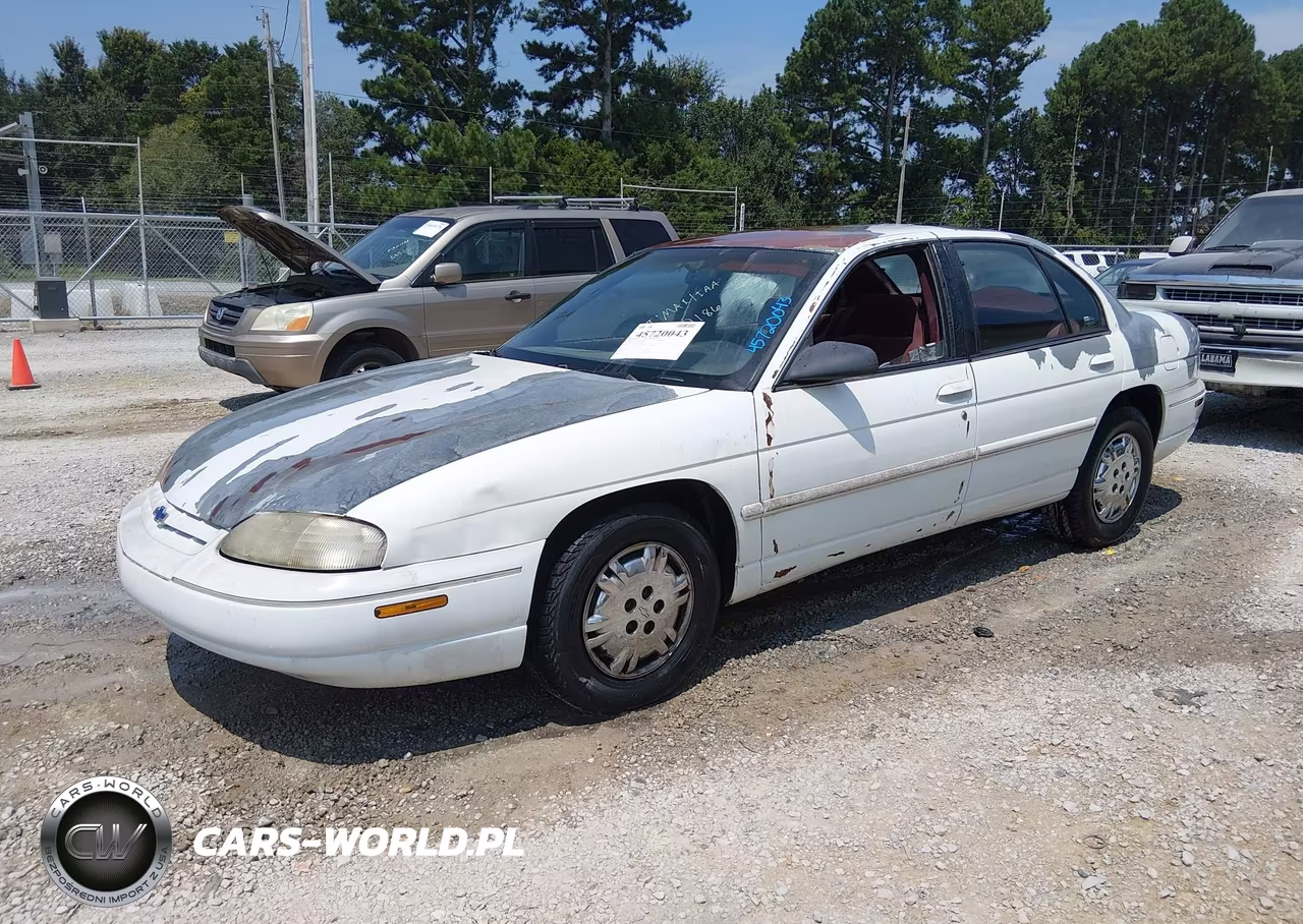1995 Chevrolet Lumina VIN:2G1WL52M5S1162186 - 2