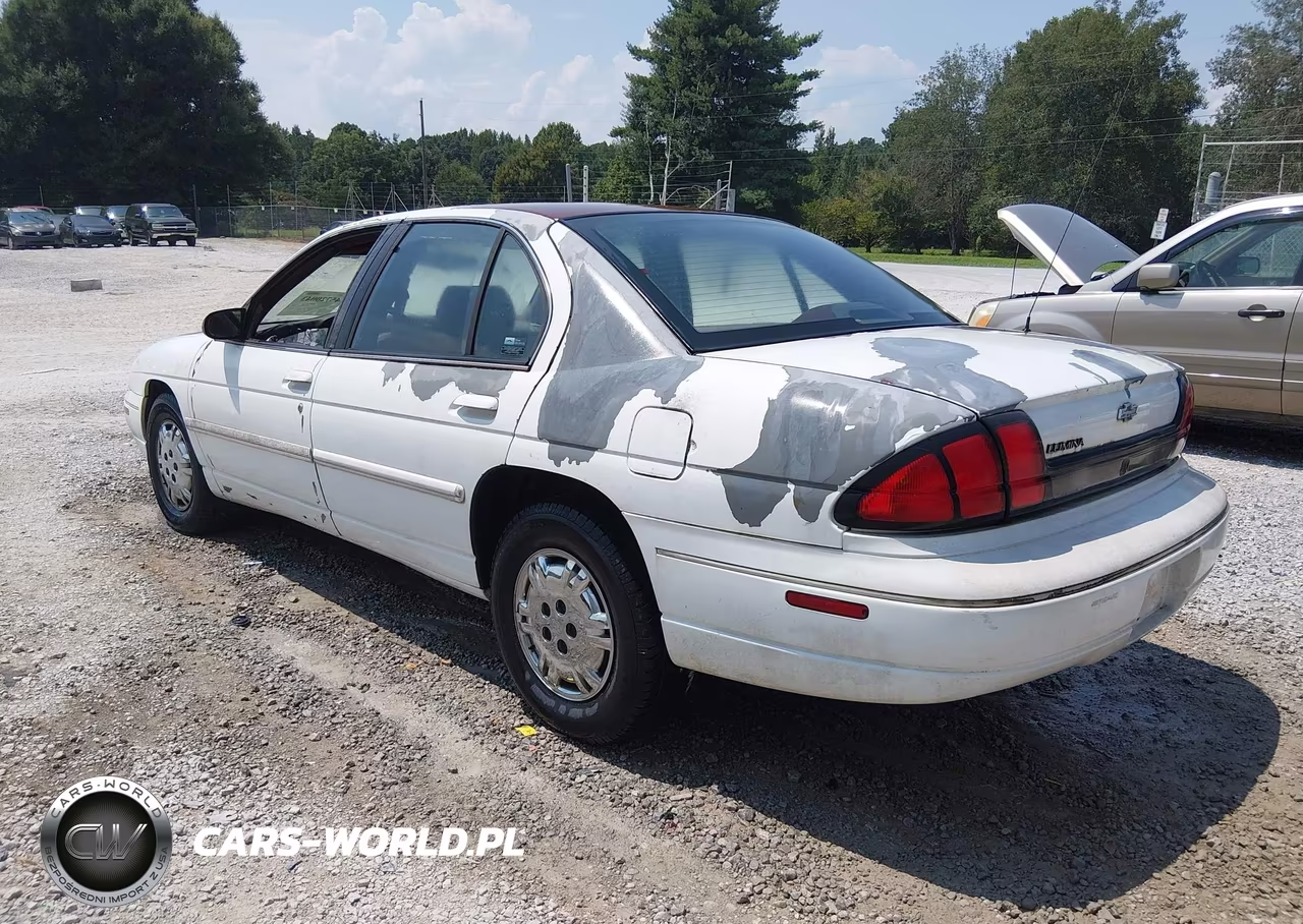 1995 Chevrolet Lumina VIN:2G1WL52M5S1162186 - 3